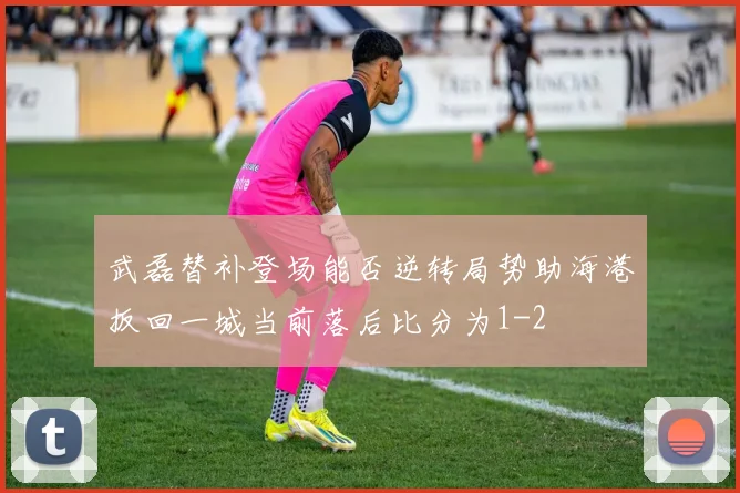武磊替补登场能否逆转局势助海港扳回一城当前落后比分为1-2