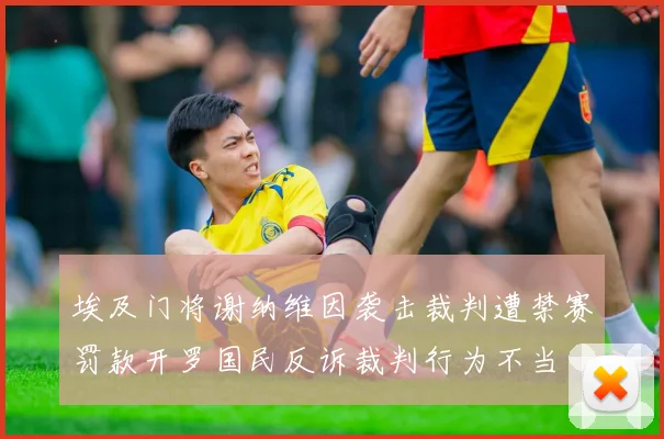 埃及门将谢纳维因袭击裁判遭禁赛罚款开罗国民反诉裁判行为不当